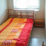 Gorgeous In With Wifi Appartement *